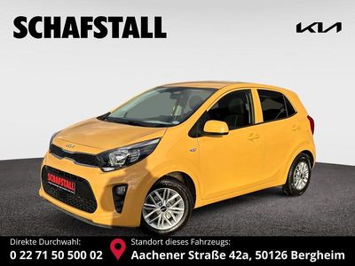 Gelb (honey bee) Gebraucht 2023 Kia Picanto Vision Kleinwagen | 12.479 € (Fairer Preis)