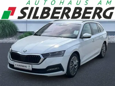 Gebraucht Skoda Octavia Ambition 150 PS (110 kW) 2023 Moonweiß perleffekt Kombi