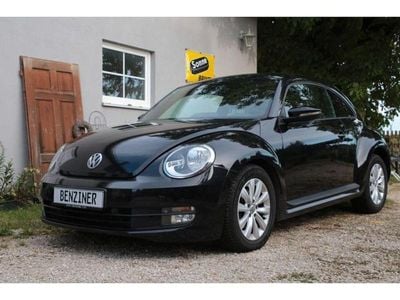 VW Beetle