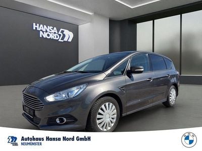 Usata Ford S-MAX Business Edition 179 CV (131 kW) 2017 Grigio Monovolume