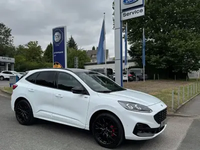 Gebraucht Ford Kuga ST-Line X 207 PS (152 kW) 2023 Weiß SUV