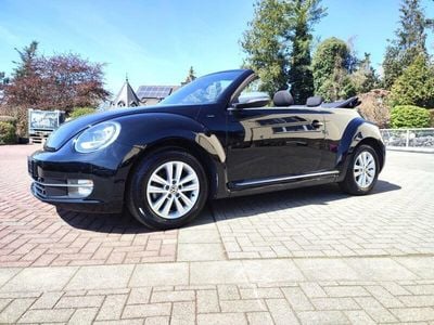 VW Beetle
