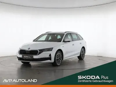 Second-hand Skoda Octavia Tour 150 CP (110 kW) 2025 Alb Break