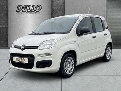 Weiß Neu 2025 Fiat Panda Limousine | 13.480 € (Guter Preis)
