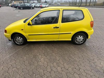 VW Polo
