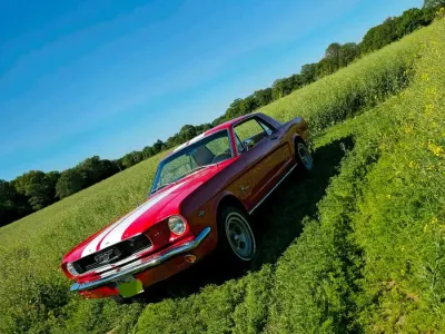 Gebraucht Ford Mustang 225 PS (165 kW) 1966 Rot Coupé