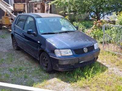 VW Polo