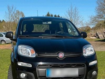 Usata Fiat Panda 69 CV (50 kW) 2016 Nero Utilitaria