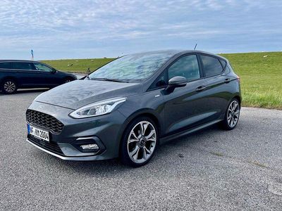 Gebraucht Ford Fiesta ST-Line 125 PS (91 kW) 2018 Grau Kleinwagen