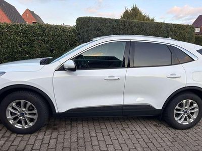 Gebraucht Ford Kuga Titanium X 190 PS (139 kW) 2023 Weiß SUV