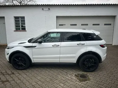 Usata Land Rover Range Rover evoque Dynamic 150 CV (110 kW) 2014 Bianco SUV