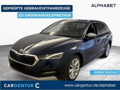 Usata Skoda Octavia Scout 4x4 200 CV (147 kW) 2023 Blu Station wagon