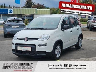 Weiss Gebraucht 2024 Fiat Panda Kleinwagen | 13.990 € (Fairer Preis)