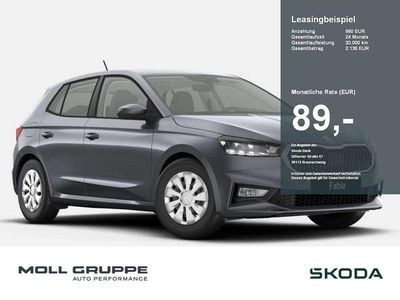 Grau Neu 2025 Skoda Fabia Essence Kleinwagen | 17.490 € (Guter Preis)