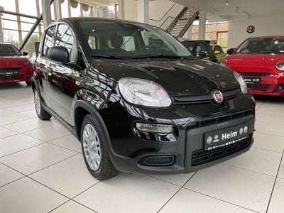 Gebraucht Fiat Panda 69 PS (50 kW) 2024 Schwarz Kleinwagen