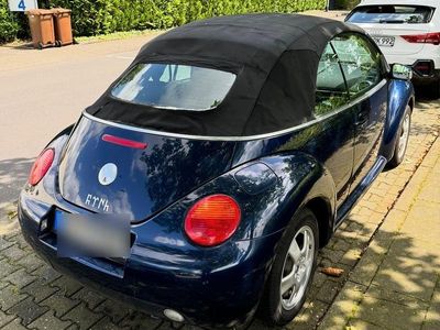 VW Beetle