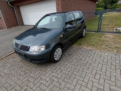 VW Polo