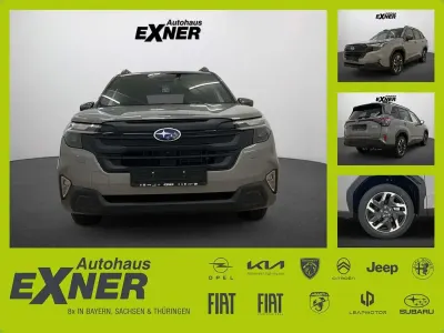 Gebraucht Subaru Forester