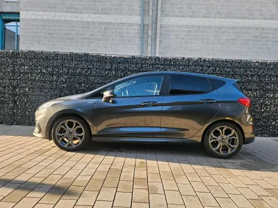 Gebraucht Ford Fiesta ST-Line 101 PS (74 kW) 2019 Grau Kleinwagen