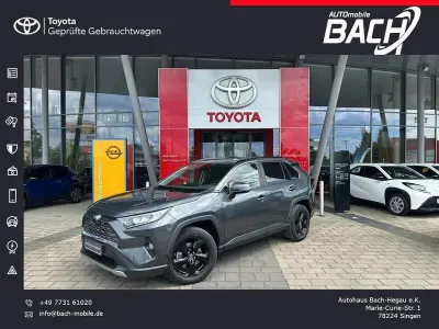 Gebraucht Toyota RAV4 Hybrid Business Edition 218 PS (160 kW) 2019 Grau SUV
