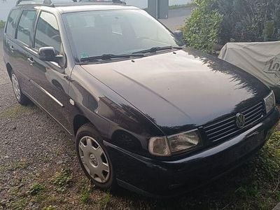 VW Polo