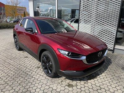 Neu Mazda CX-30 Homura-Line 140 PS (102 kW) 2026 SUV