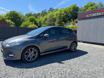 Gebraucht Ford Fiesta ST-Line 101 PS (74 kW) 2018 Grau Kleinwagen