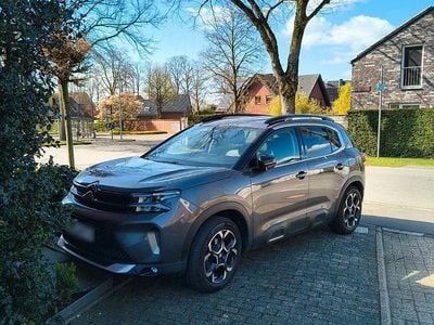Usata Citroën C5 Aircross PureTech 131 CV (96 kW) 2023 Grigio SUV