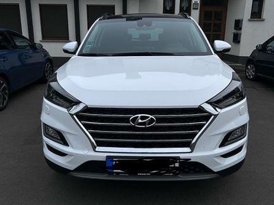 Gebraucht Hyundai Tucson Premium 177 PS (130 kW) 2019 Weiß SUV