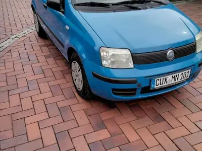 Usata Fiat Panda 54 CV (39 kW) 2006 Blu Utilitaria