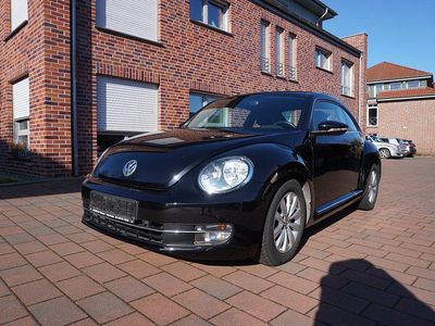 VW Beetle