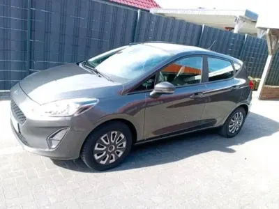 Gebraucht Ford Fiesta Trend 85 PS (62 kW) 2019 Grau Kleinwagen