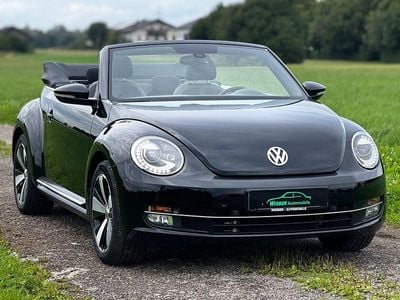 VW Beetle