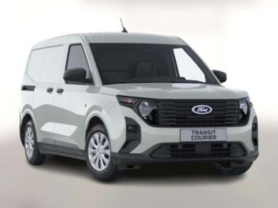 Cactus grey Neu 2025 Ford Transit Trend Van / Kleinbus | 21.840 € (Guter Preis)