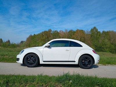 gebraucht VW Beetle Beetle The1.2 TSI