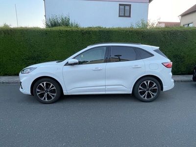 Weiß Gebraucht 2020 Ford Kuga ST-Line SUV | 19.000 € (Fairer Preis)