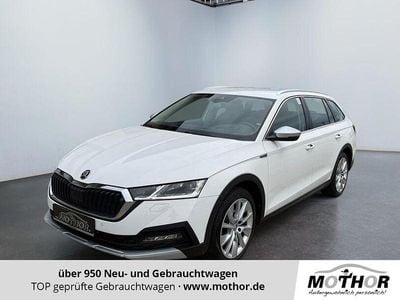 Gebraucht Skoda Octavia 200 PS (147 kW) 2022 Candyweiss Kombi