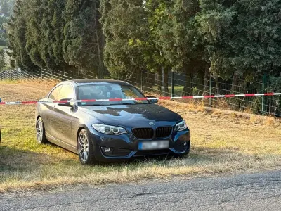 Gebraucht BMW 220 Advantage 184 PS (135 kW) 2015 Blau Coupé