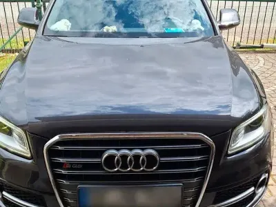 Gebraucht Audi SQ5