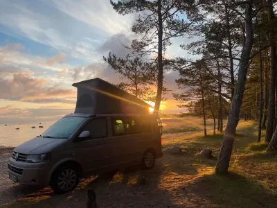 Gebraucht VW California
