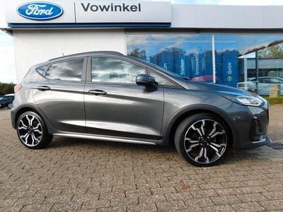 Usata Ford Fiesta Active 125 CV (91 kW) 2022 Grigio Utilitaria