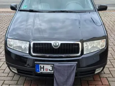 Brugt Skoda Fabia