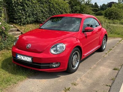 VW Beetle