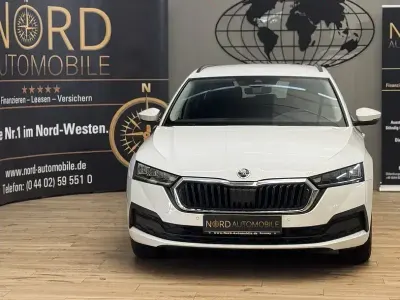 Second-hand Skoda Octavia