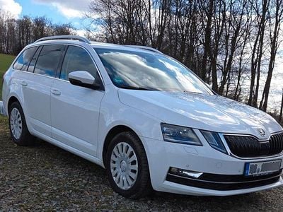 Gebraucht Skoda Octavia Style 150 PS (110 kW) 2019 Weiß Kombi