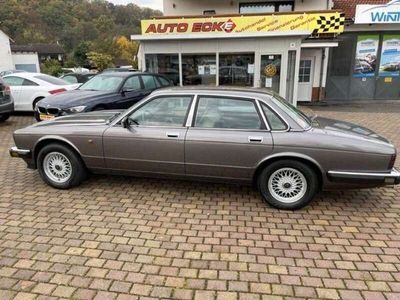 gebraucht Jaguar XJ40 Leder Klima H-Kennz Top Gepflegt