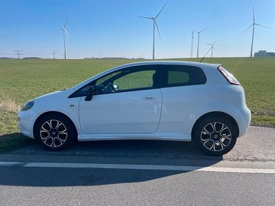 Gebraucht Fiat Punto 60 PS (44 kW) 2013 Weiß Kleinwagen