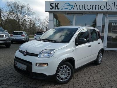 Gebraucht Fiat Panda Cross Cross 69 PS (50 kW) 2024 Colore esterno (weiss) Kleinwagen