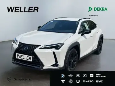 Gebraucht Lexus UX 250h