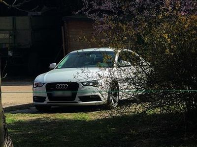 Usata Audi A5 Comfort 220 CV (161 kW) 2016 Bianco Coupé